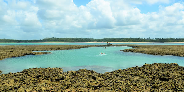 São Miguel dos Milagres: O que Fazer, Dicas e Melhores Praias São Miguel dos Milagres: O que Fazer, Dicas e Melhores Praias